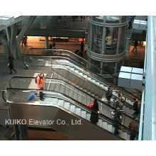 Escalator for Railway Station or Other Public